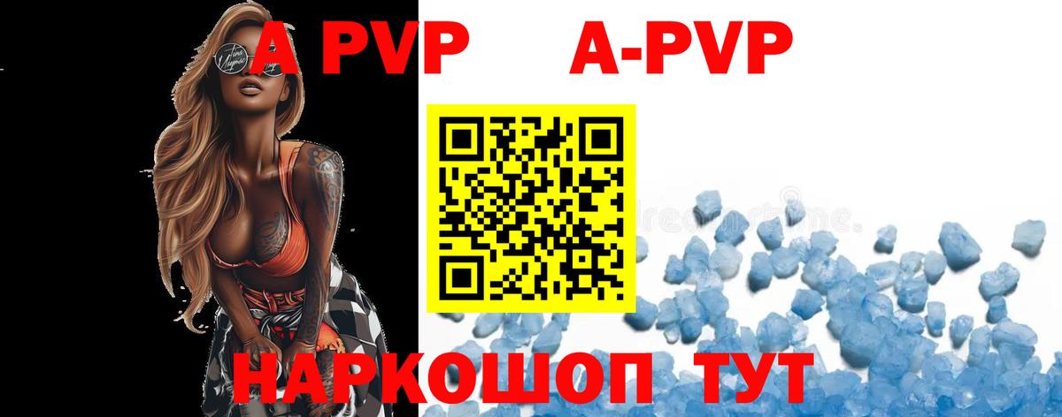 Альфа ПВП СК КРИС Ярославль